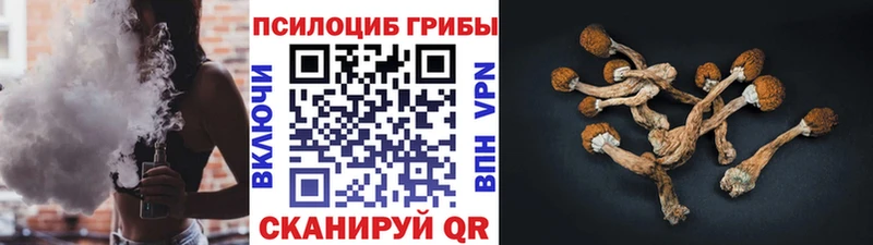закладки  Уржум  Галлюциногенные грибы мицелий 